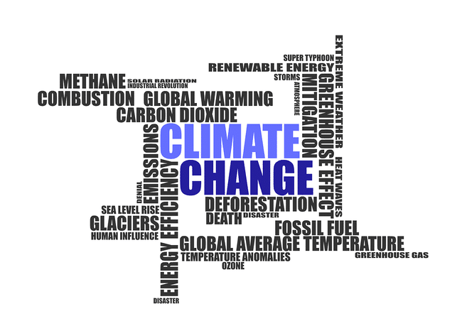 changement climatique et film solaire fenetre